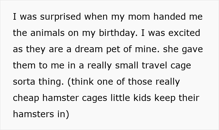 Teen caring for gifted chinchillas in a small travel cage, aiming to give them a proper life despite mom&rsquo;s disagreement.