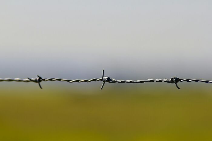 Close-up of barbed wire fence outdoors with blurred green and gray background, related to shipping containers security.