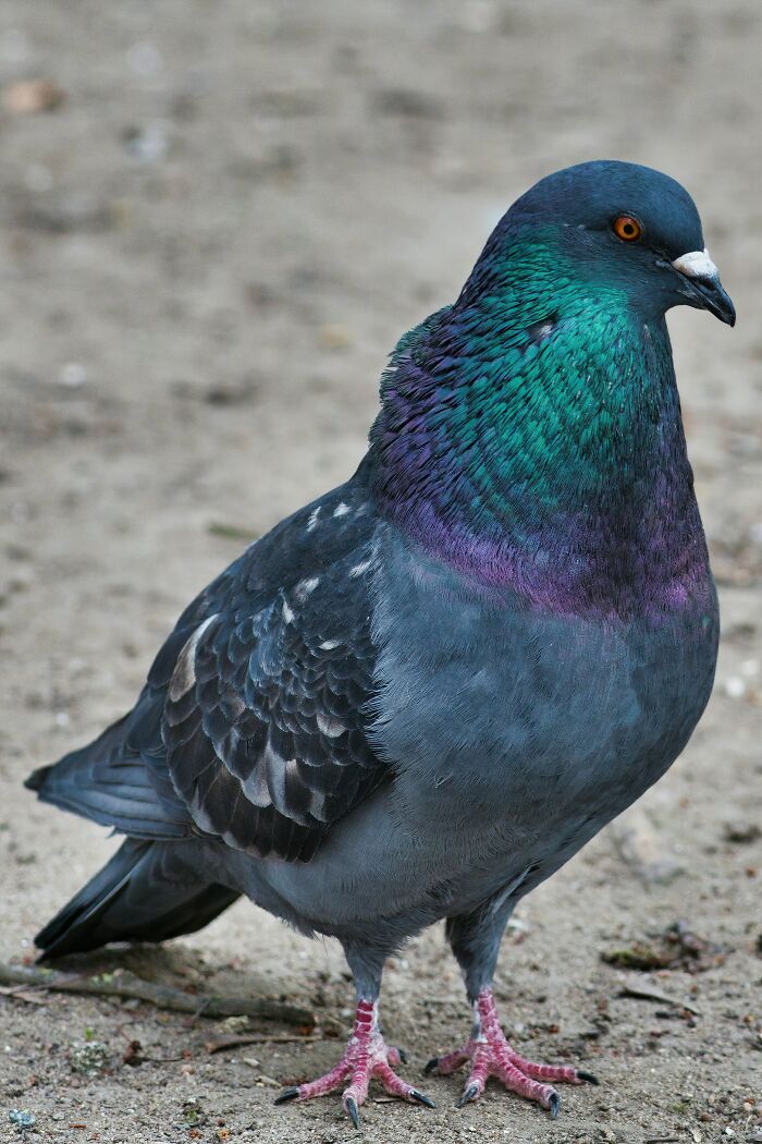 28 Hilarious Things Toddlers Said, As Shared By Our Community