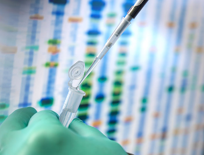 Gloved hand using a pipette to transfer liquid into a small tube with DNA test results blurred in the background. Gloved hand using a pipette to transfer liquid into a small tube with DNA test results blurred in the background.