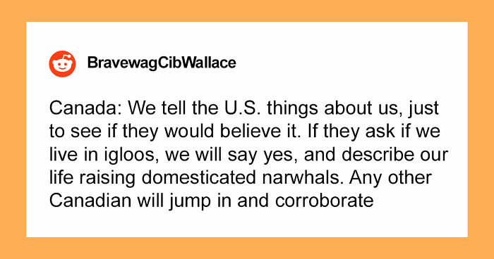 “Florida Man”: Locals Are Sharing The Inside Jokes They Have In Their Countries