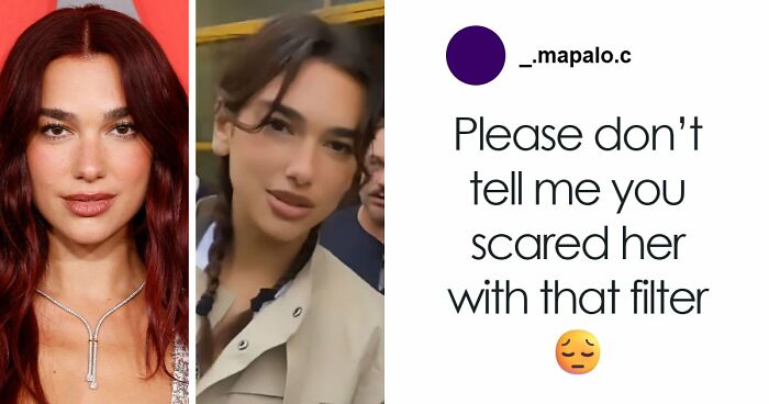 Dua Lipa Left Utterly Stunned After South African Fan Uses Filter On Selfie With Her