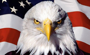 56 Times Americans Wrote Such Dumb Comments, The Internet Just Had Enough