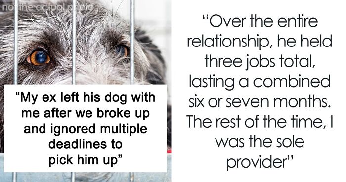 Woman Can’t Handle Ex’s Dog, Threatens To Take It To A Shelter And He Doesn’t Do Anything