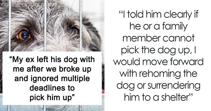 Woman Can’t Handle Ex’s Dog, Threatens To Take It To A Shelter And He Doesn’t Do Anything