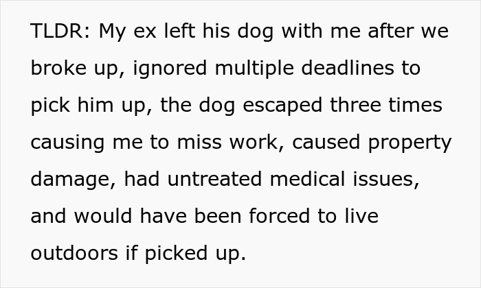 Text describing a woman struggling to handle her ex’s dog, threatening to take it to a shelter while he does nothing. Text describing a woman struggling to handle her ex’s dog, threatening to take it to a shelter while he does nothing.