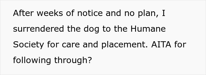 Woman struggles to handle ex’s dog, threatens shelter placement after no plan from him. Woman struggles to handle ex’s dog, threatens shelter placement after no plan from him.