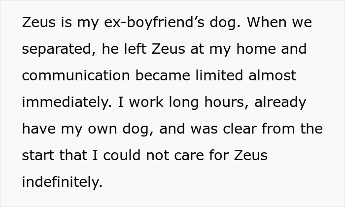 Woman struggling to care for ex’s dog Zeus, working long hours and unable to handle the responsibility indefinitely. Woman struggling to care for ex’s dog Zeus, working long hours and unable to handle the responsibility indefinitely.