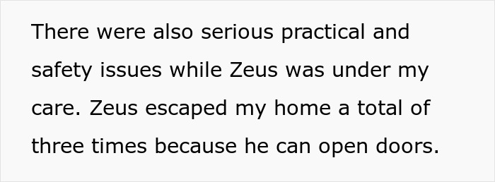 Text excerpt describing safety issues with a dog named Zeus who escaped multiple times by opening doors. Text excerpt describing safety issues with a dog named Zeus who escaped multiple times by opening doors.