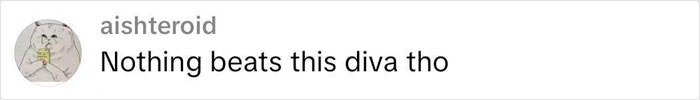 Screenshot of a social media comment reading "Nothing beats this diva tho" related to a viral Dior handbag Vinted listing.