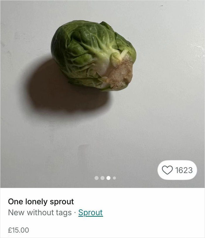 Brussels sprout on white background with Vinted listing and 1623 likes, unrelated to Dior handbag viral listing.