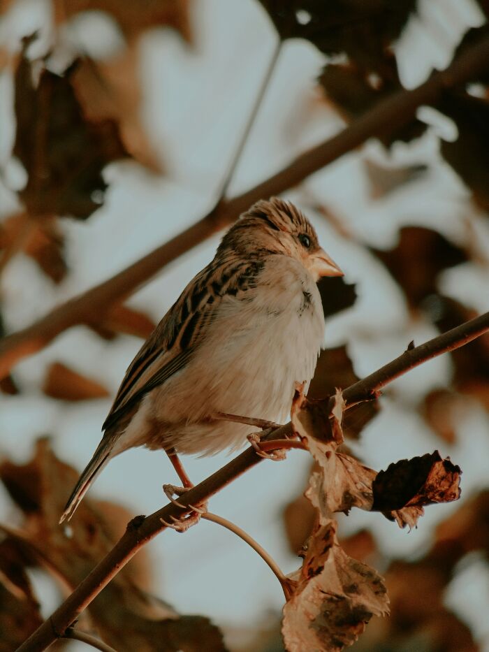 27 Small Joys People Forget To Appreciate, According To Our Community