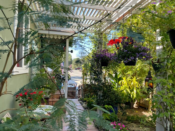 27 Small Joys People Forget To Appreciate, According To Our Community