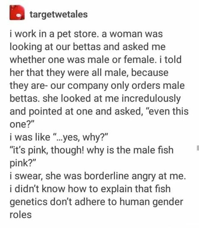 Text post discussing gender roles and genetics, illustrating feminist posts that call out the patriarchy with sharp commentary.