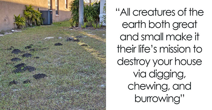 “No One Warned Me”: 84 Times People Bought A House To Realize It Was Actually The Easiest Part