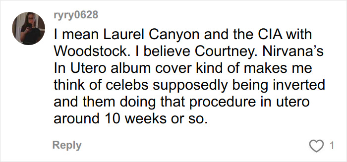 Commenter ryry0628 discussing theories about Laurel Canyon, the CIA, and Nirvana&rsquo;s In Utero album in a social media post.