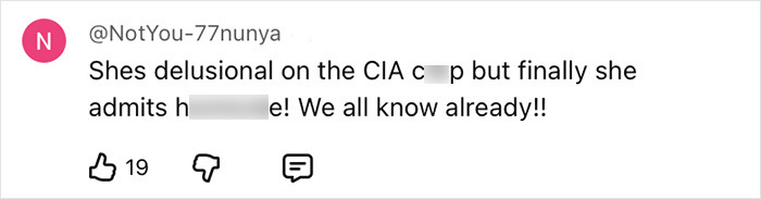 Social media comment by user NotYou-77nunya discussing delusional views on CIA conspiracy theories.