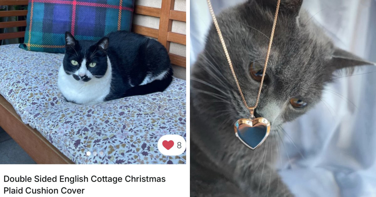 100 Hilarious Cat Cameos People Caught In Vinted Listings