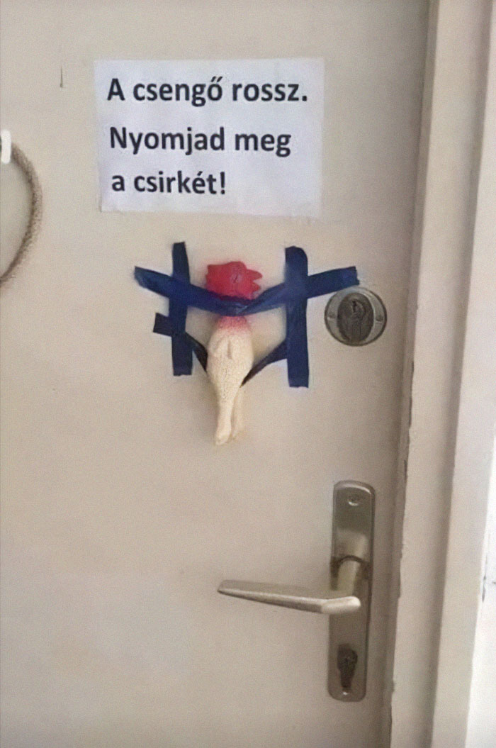 Door with taped rubber chicken used as a doorbell alternative, capturing the Eastern European experience humorously.