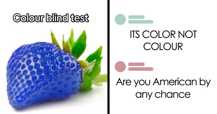 50 Ridiculous American Internet Comments That Deserved To Get Roasted