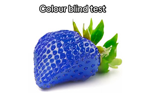 50 Ignorant Comments By Americans That Deserved Some Gentle European Roasting