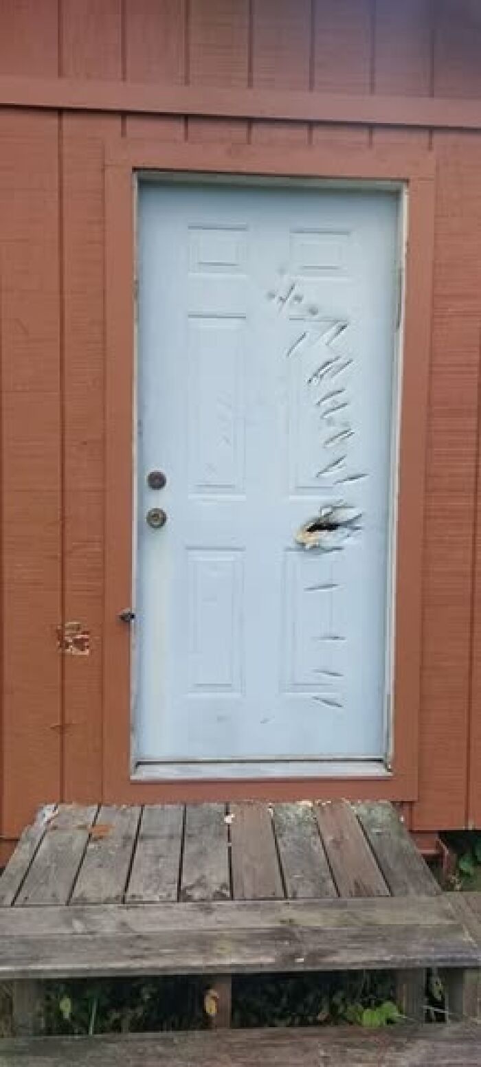 Woke up expecting: damaged white door with deep scratches, hole, brown siding and worn wooden steps