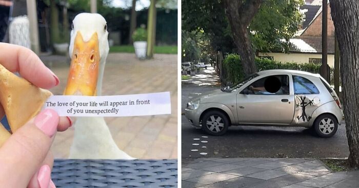 79 Confusing Pictures That Are Funny For No Clear Reason