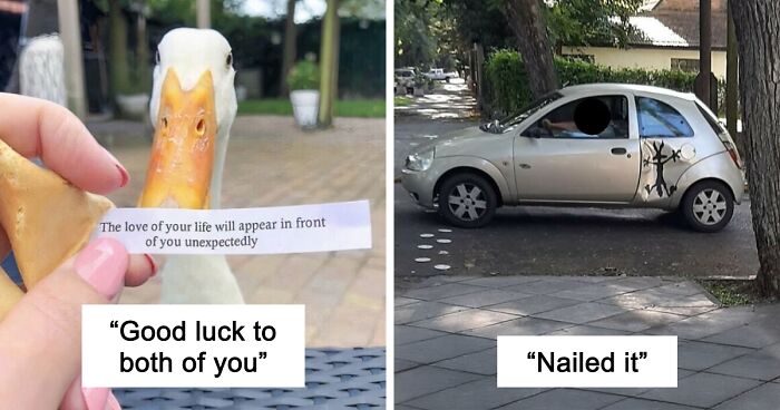 79 Confusing Pictures That Are Funny For No Clear Reason