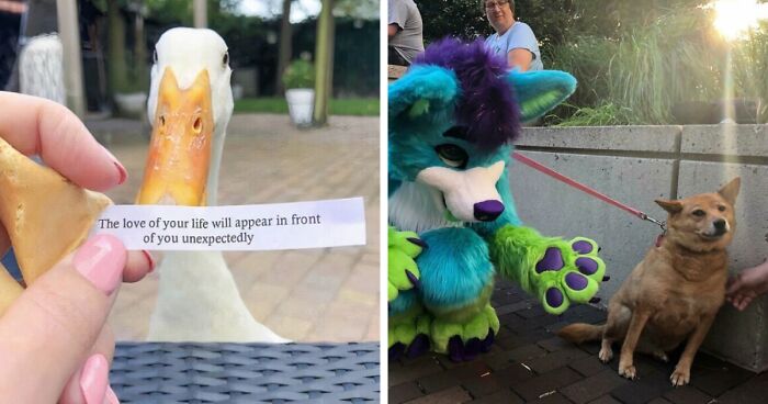 79 Confusing Pictures That Are Funny For No Clear Reason