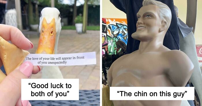 79 Confusing Pictures That Are Funny For No Clear Reason