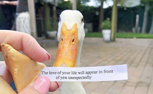 79 Hilarious Pictures That Don’t Explain Themselves And Never Will