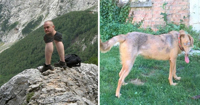 49 Times People’s Failed Panoramic Pics Were Actually Masterpieces