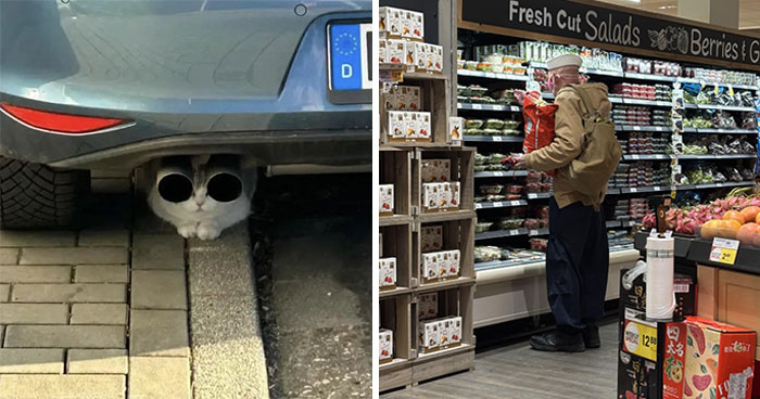 55 Funny Pictures From 2025 That Perfectly Sum Up How Weird Last Year Was