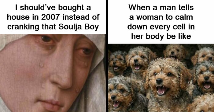 97 Funny Memes To Distract You From Whatever You’re Avoiding Right Now