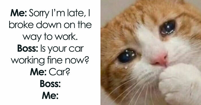 97 Funny Memes To Distract You From Whatever You’re Avoiding Right Now