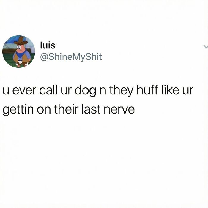 Funny meme text about dogs huffing when called, capturing randomness in a relatable and humorous way for meme lovers.