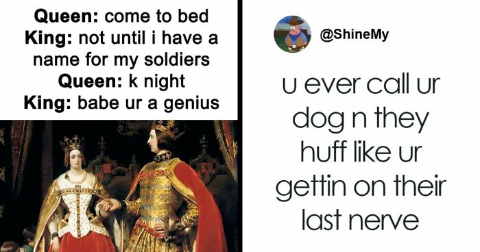 51 Funny Memes That Might Crack You Up With Their Randomness