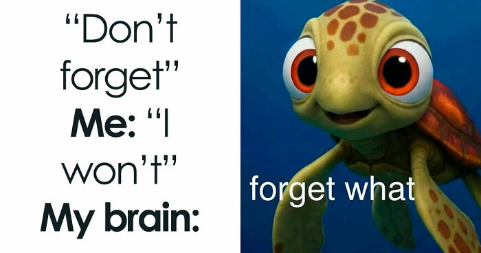 51 Funny Memes That Might Crack You Up With Their Randomness