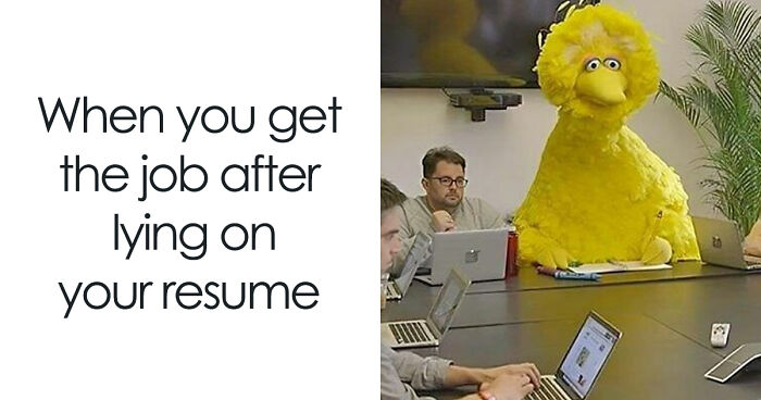 53 Funny Resume Memes For People Who Are One More Rejection Away From Losing It