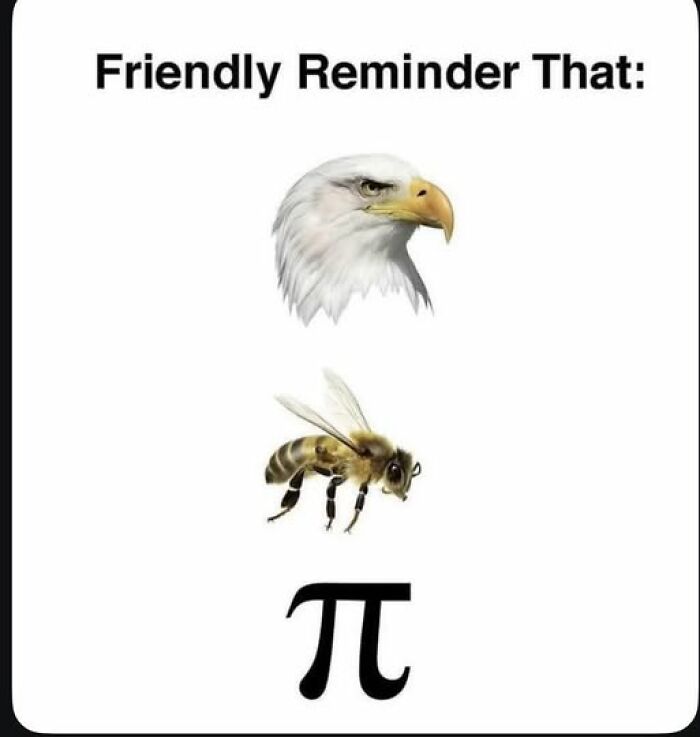 Illustration showing an eagle, a bee, and the pi symbol with a friendly reminder about brain confusion.