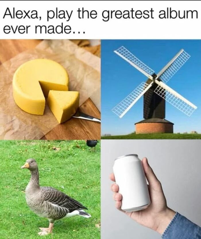 Humorous images showing cheese, windmill, goose, and a hand holding a blank can for brain-breaking reading confusion.