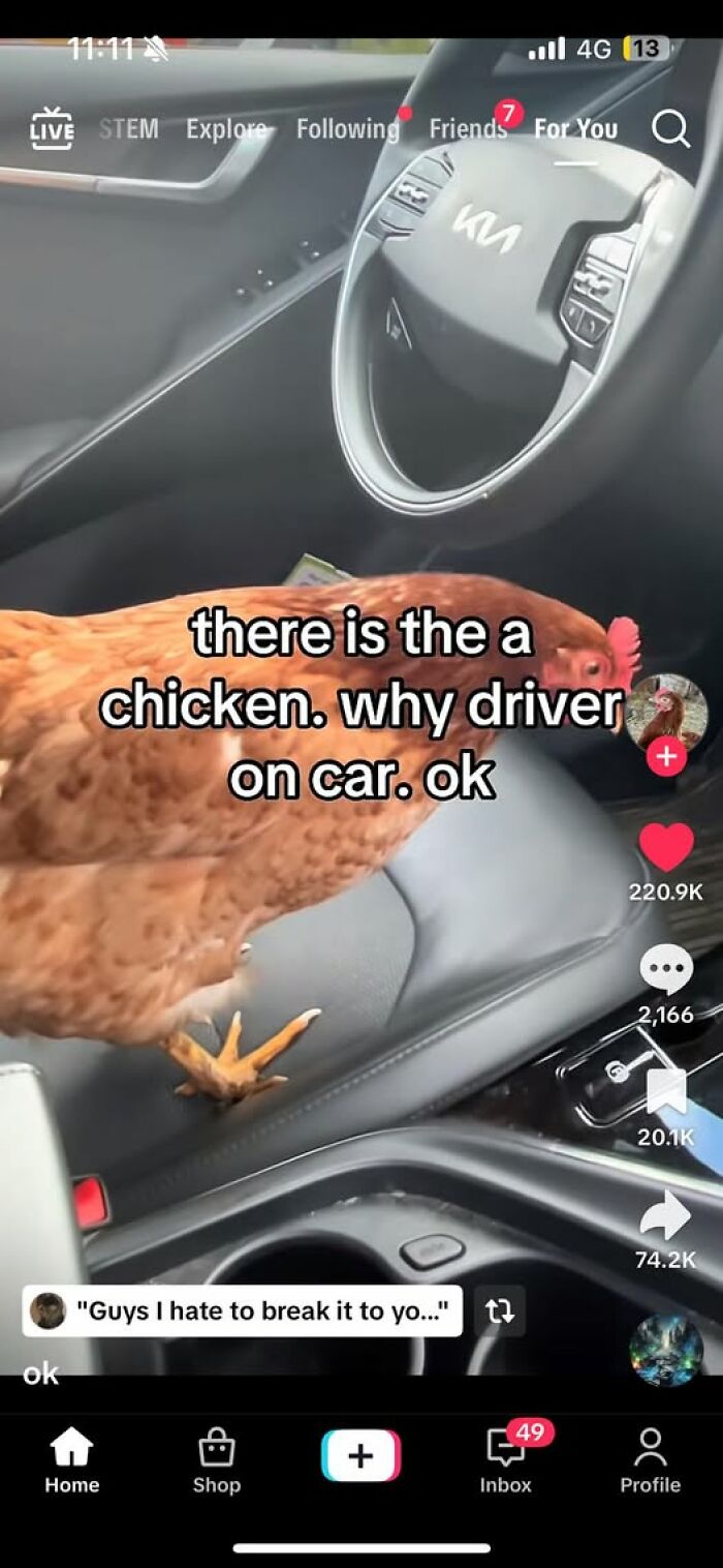 Chicken inside car with confusing text, illustrating people breaking their brain trying to understand what they read.