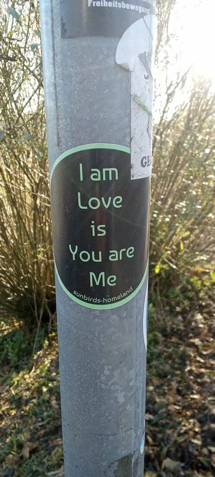 Sticker on pole with confusing phrase I am Love is You are Me, illustrating people breaking their brain trying to understand text.