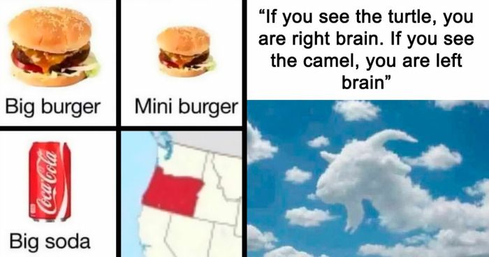 “Please Stroke, I’m Having A Help”: 108 Times People Broke Their Brain Trying To Understand What They’d Read