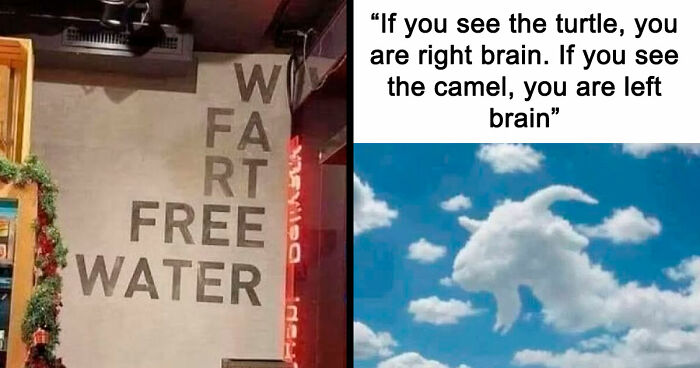 “Please Stroke, I’m Having A Help”: 108 Times People Broke Their Brain Trying To Understand What They’d Read