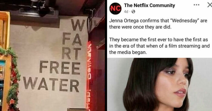 “Please Stroke, I’m Having A Help”: 108 Times People Broke Their Brain Trying To Understand What They’d Read