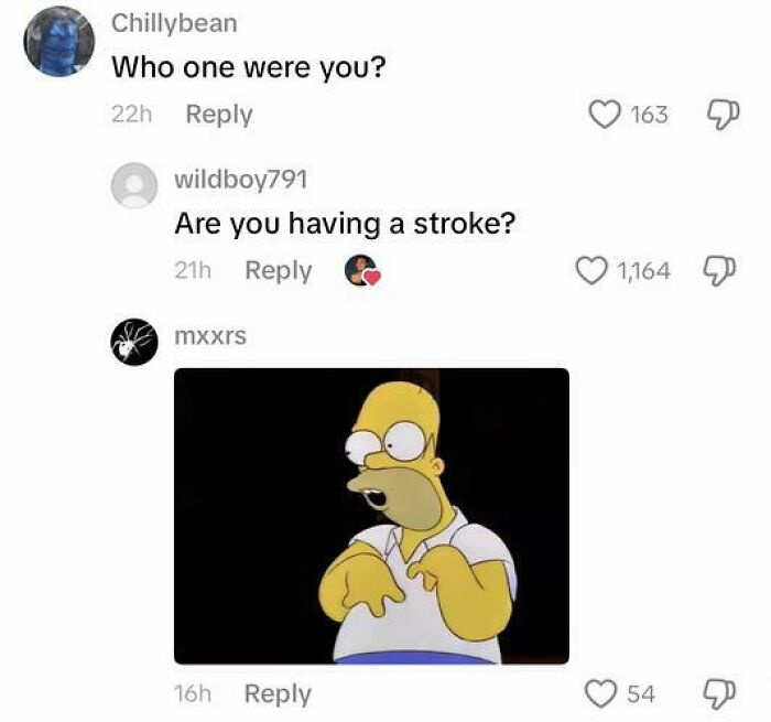 TikTok funny comment thread with users questioning confusion alongside a Homer Simpson meme reaction.