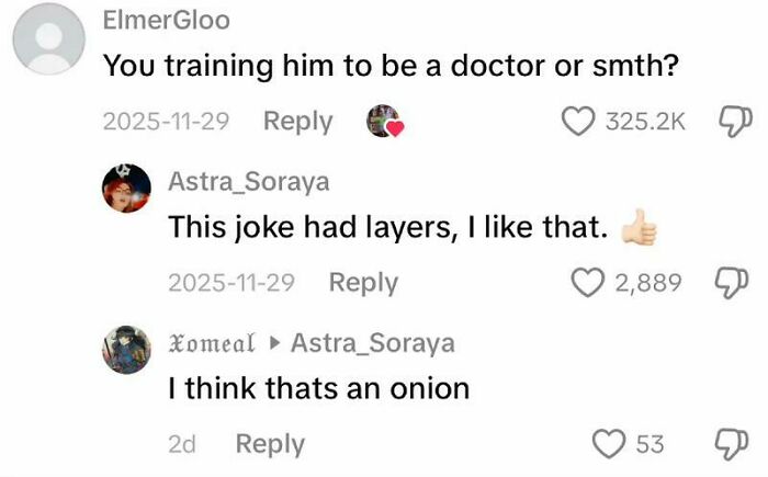 Screenshot of weird funny TikTok comments discussing a layered joke comparing training to be a doctor with an onion.