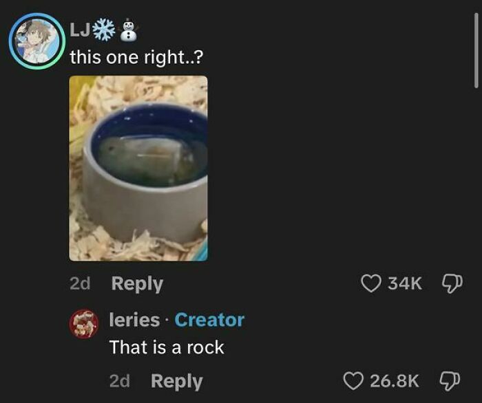 TikTok comment thread where one user mistakes a rock in a bowl for something else in a funny, weird exchange.