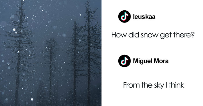 80 Weird, Funny, And Totally Unhinged TikTok Comments